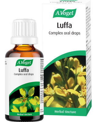 H11-777050 Luffa Complex Tincture*