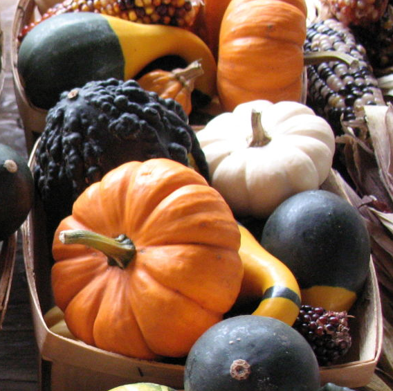 Gourds - Small