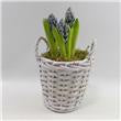 Co op Hyacinth Basket each*