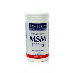 H01-8517/120 Lamberts MSM 1000mg*