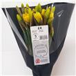 Co-Op British Daffodils*