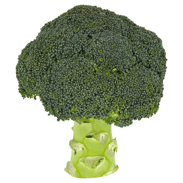 Co Op Broccoli Head Loose