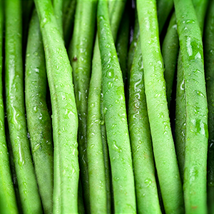 Fine Green Beans - per kg