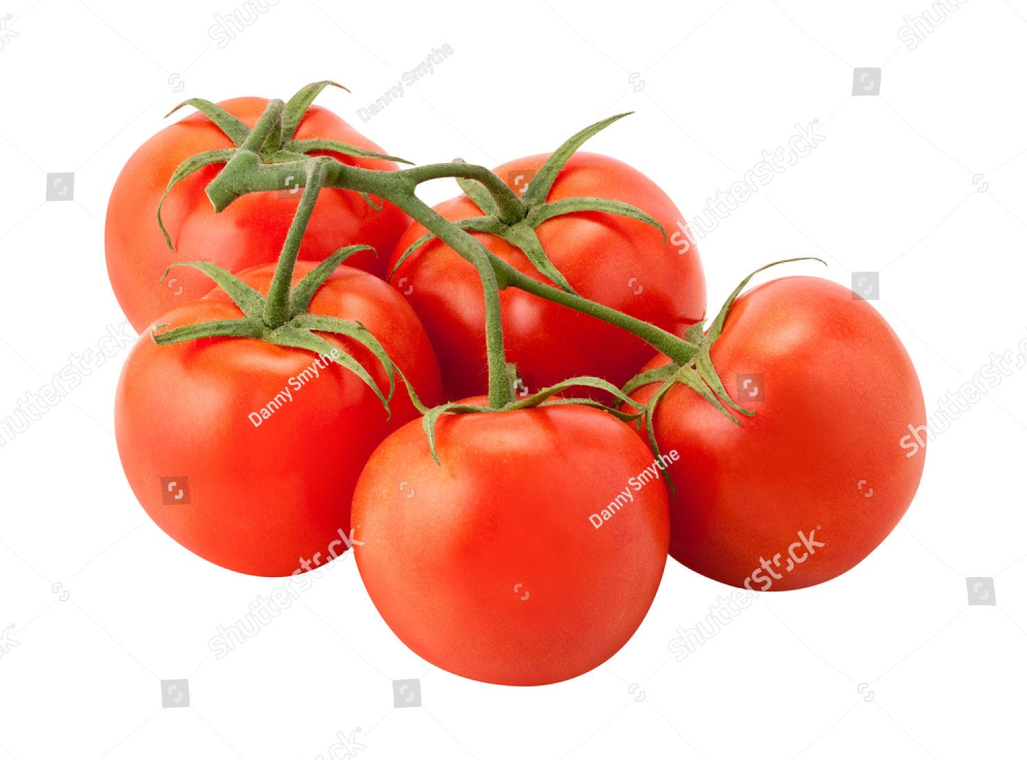 Round Tomato Each